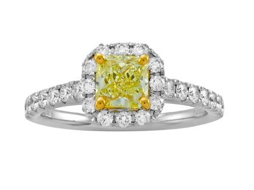 18K White Gold Diamond Round pave Ring with Natural Fancy Yellow Diamond
